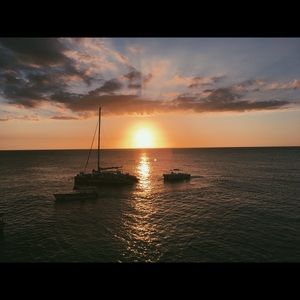 Meet your Posher, Kiley